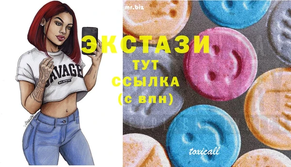 дмт Богородск