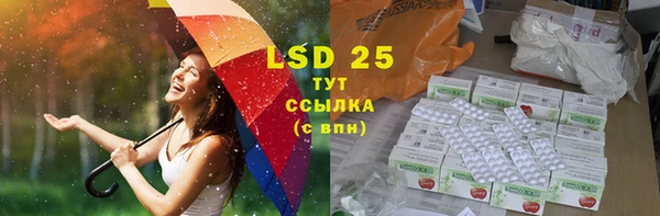PSILOCYBIN Богданович