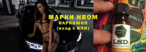 гидра Аша