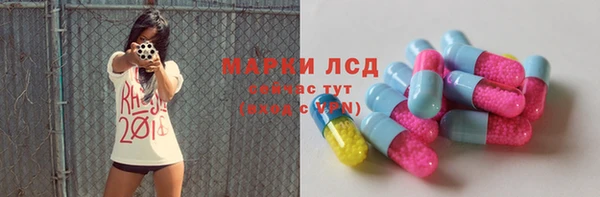 PSILOCYBIN Богданович