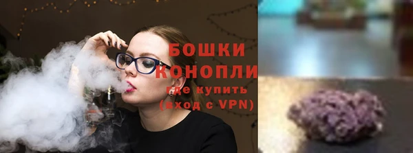PSILOCYBIN Богданович
