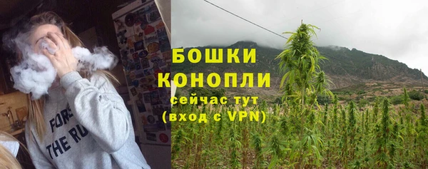 PSILOCYBIN Богданович