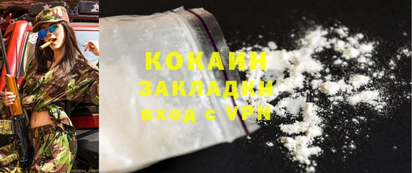 PSILOCYBIN Богданович