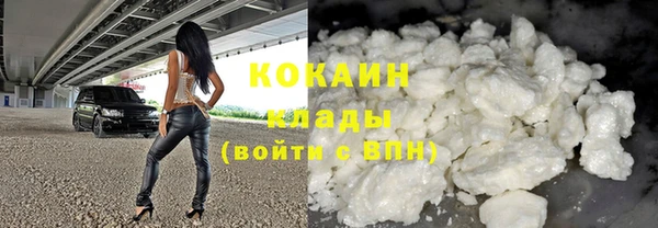 дмт Богородск