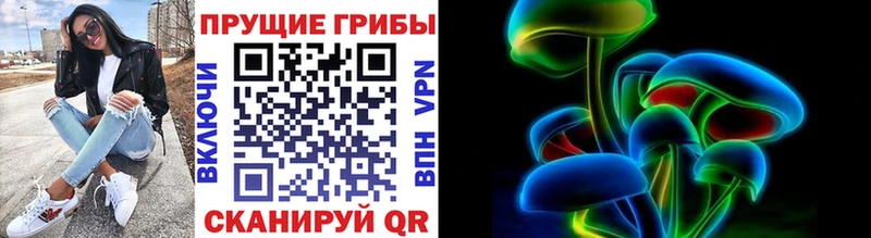 Галлюциногенные грибы Psilocybe  Буинск 